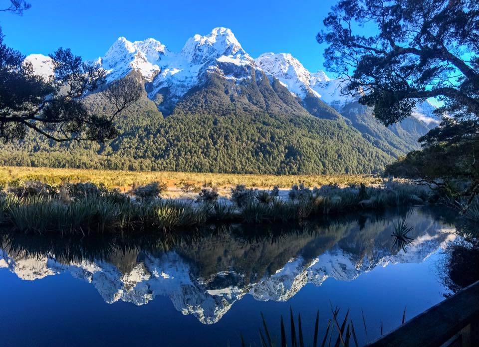 MIRROR LIKE WATER OF THE MILFORD SOUND, NEW ZEALAND 